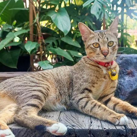 Baan Canalee Phra Nakhon Si Ayutthaya Ngoại thất bức ảnh