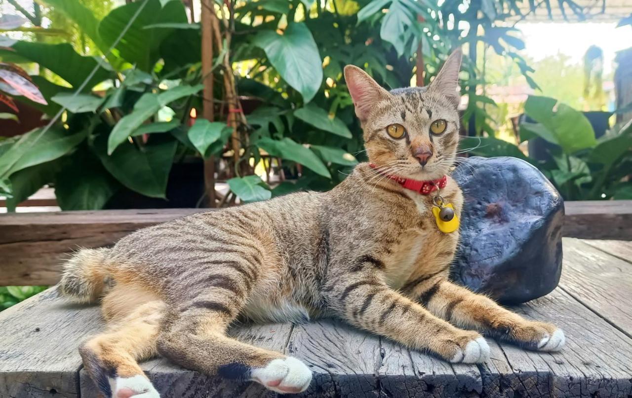 Baan Canalee Phra Nakhon Si Ayutthaya Ngoại thất bức ảnh